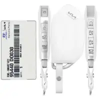 2024- 2025 KIA EV9 Smart Remote Key 95440-DO030 TQ8-FOB-4F61U44 8 Button