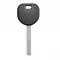 GM B119 Transponder Key HU100 With Philips 46 Chip thumb