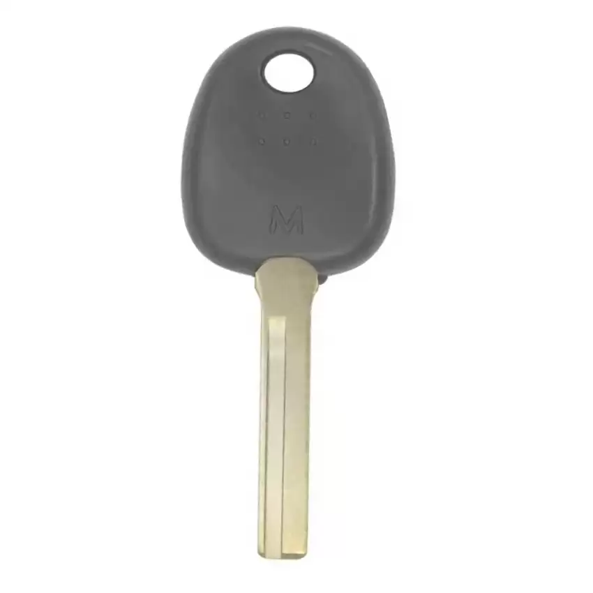 Hyundai Accent 2012 Genuine 46 Transponder Key 81996-1R010 